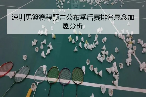 深圳男篮赛程预告公布季后赛排名悬念加剧分析